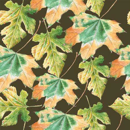 Seamless pattern with  autumn leaves. Watercolor. Hand drawn.の写真素材