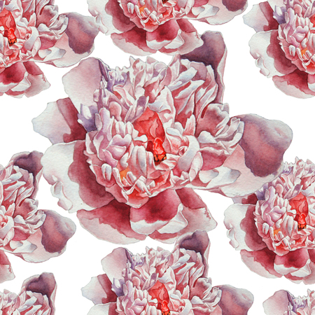 Seamless pattern with gorgeous pink peony. Watercolor.    Hand drawn.の写真素材