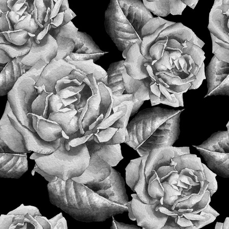 Monochrome seamless pattern with roses. Vector. Hand drawn.の写真素材