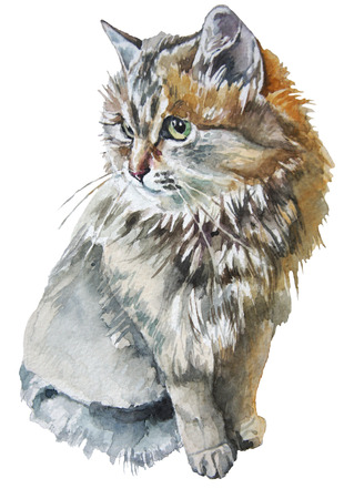 Illustration with a cute little cat. Watercolor. Hand drawn.の写真素材
