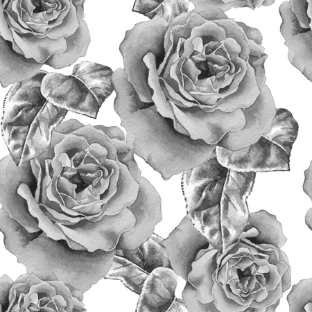 Monochrome seamless pattern with roses. Vector. Hand drawn.の写真素材