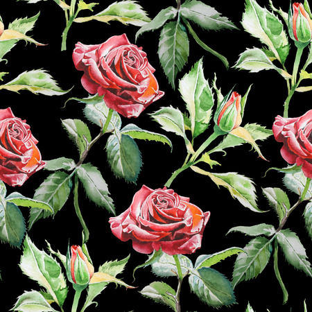 Seamless pattern with watercolor roses.  Watercolor. Hand drawn.の写真素材