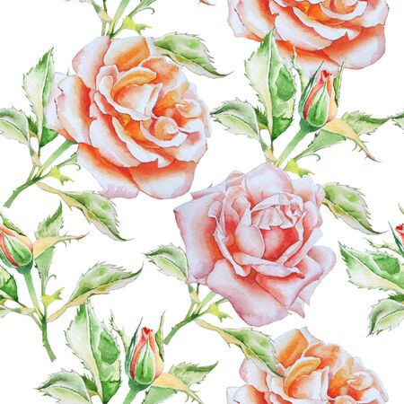 Seamless pattern with watercolor roses.  Watercolor. Hand drawn.の写真素材
