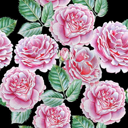 Seamless pattern with watercolor roses. Watercolor. Hand drawn.の写真素材