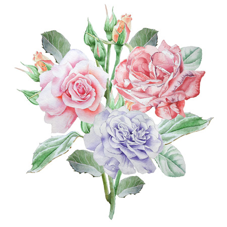 Floral card with flowers. Rose. Watercolor illustration. Hand drawnの写真素材