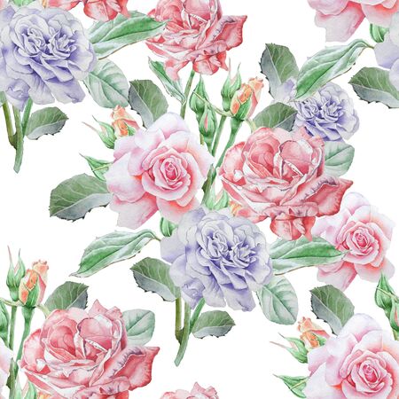 Seamless pattern with roses. Watercolor illustration. Hand drawnの写真素材