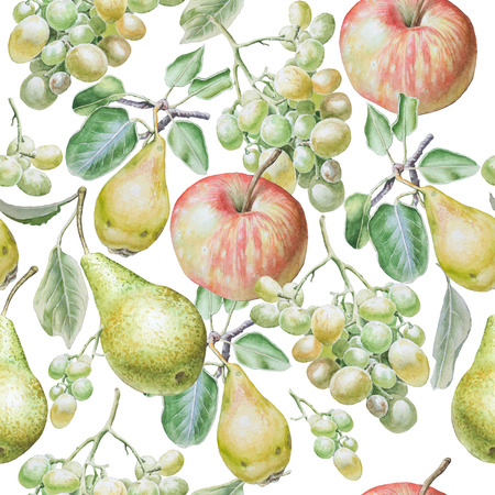 Seamless pattern with fruits. Apple, grapes and pear. Watercolor illustration. Hand drawnの写真素材