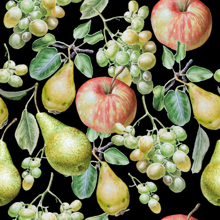 Seamless pattern with fruits. Apple, grapes and pear. Watercolor illustration. Hand drawnの写真素材