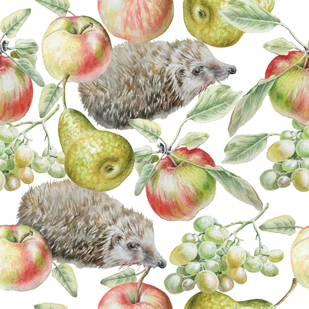 Seamless pattern with fruits and hedgehog. Apple, grapes and pear.Watercolor illustration. Hand drawnの写真素材