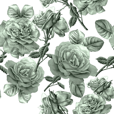 Seamless pattern with roses. Watercolor illustration. Hand drawnの写真素材