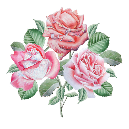Floral card with flowers. Rose. Watercolor illustration. Hand drawnの写真素材
