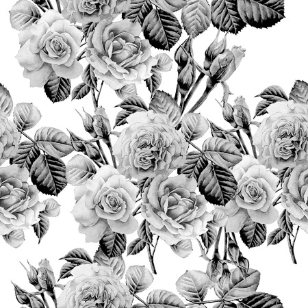 Monochrome seamless pattern with roses. Watercolor. Hand drawnの写真素材