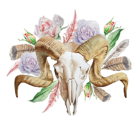 Illustration with skull, flowers and feather. Watercolor.の写真素材