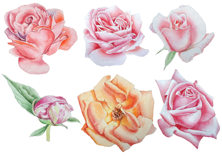 Set with flowers. Rose. Pansies. Peony. Watercolor illustration.の写真素材