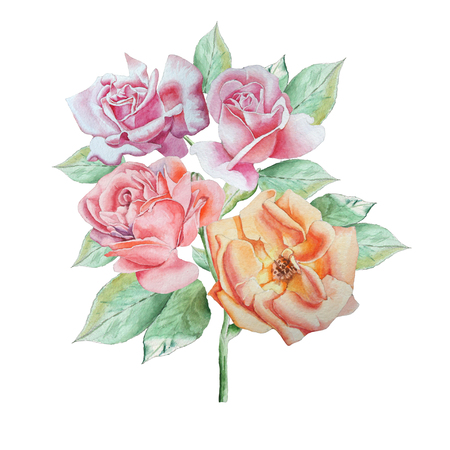Floral card with flowers. Rose. Watercolor illustration.の写真素材