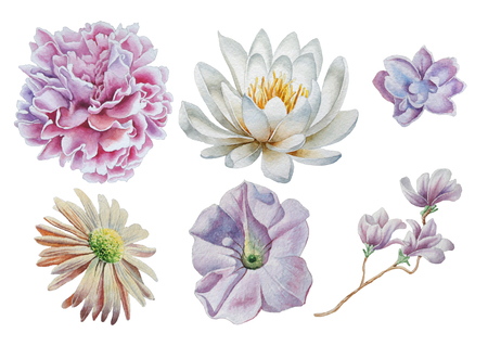 Set with flowers. Rose. Peony. Lily. Watercolor illustration. Hand drawn.の写真素材