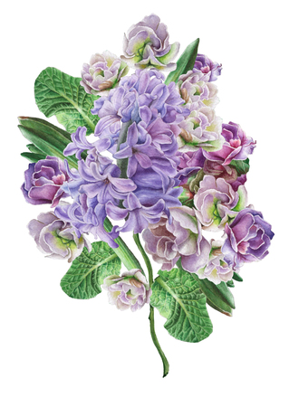 Watercolor bouquet with flowers. Viola. Hyacinth. Illustration. Hand drawn.の写真素材