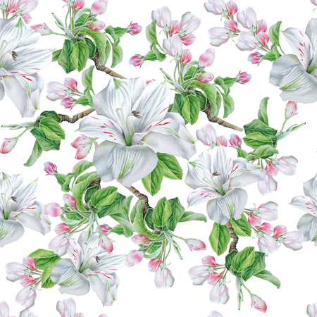 Seamless pattern with flowers. Blossom. Alstroemeria.  Watercolor illustration. Hand drawn.の写真素材