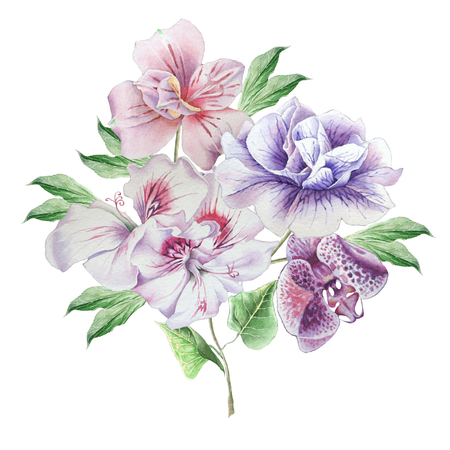 Floral card with flowers. Petunia. Alstroemeria. Orchid. Watercolor illustration. Hand drawnの写真素材