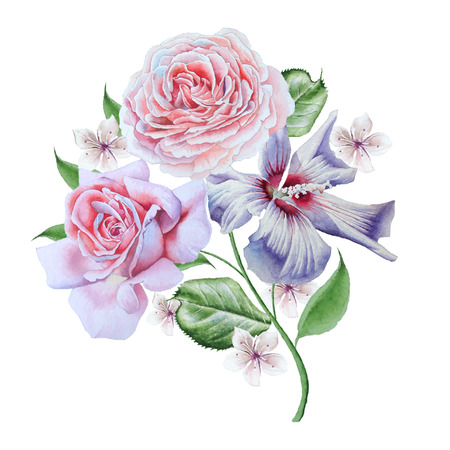 Watercolor bouquet with flowers.Rose.  Hibiscus. Watercolor illustration. Hand drawn.の写真素材
