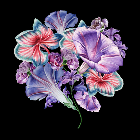 Watercolor bouquet with flowers. Orchid. Petunia. Illustration. Hand drawn.の写真素材