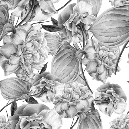 Seamless pattern with flowers. Rose.  Anthurium. Watercolor illustration. Hand drawn.の写真素材