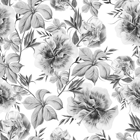 Monochrome seamless pattern with flowers. Rose. Hibiscus.  Watercolor illustration.Hand drawn.の写真素材