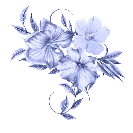 Watercolor bouquet with flowers. Orchid. Hibiscus. Petunia. Illustration. Hand drawn.の写真素材
