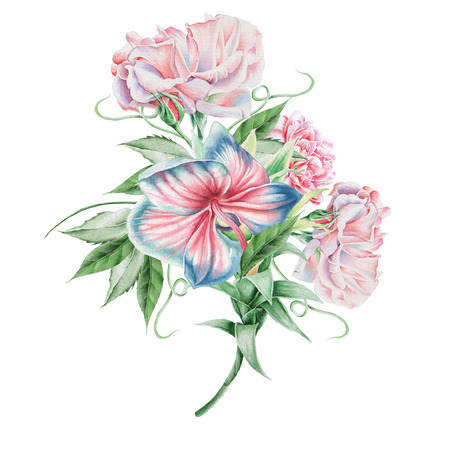 Watercolor bouquet with flowers. Orchid. Rose. Illustration. Hand drawn.の写真素材
