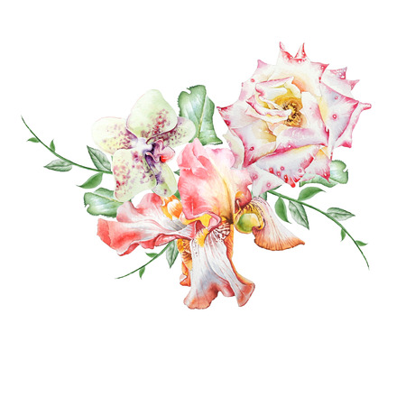 Watercolor bouquet with flowers.  Iris. Rose. Orchid. Illustration. Hand drawn.の写真素材