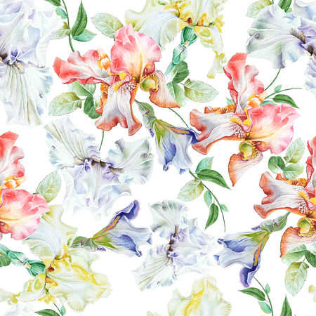 Bright seamless pattern with irises. Watercolor illustration. Hand drawn.の写真素材