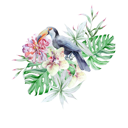 Tropical set with birds leaves and flowers. Peony. Tucan.  Monstera. Orchid.   Watercolor illustration. Hand drawn.の写真素材