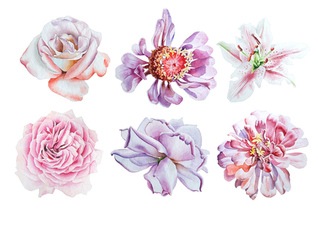 Set with watercolor flowers. Lily. Rose. Peony. Hand drawn.の写真素材