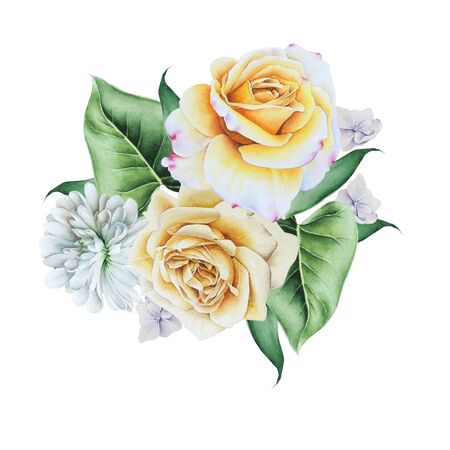 Watercolor bouquet with roses.  Illustration. Hand drawn.の写真素材