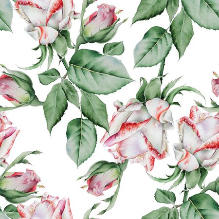 Bright seamless pattern with flowers. Rose. Watercolor illustration. Hand drawn.の写真素材