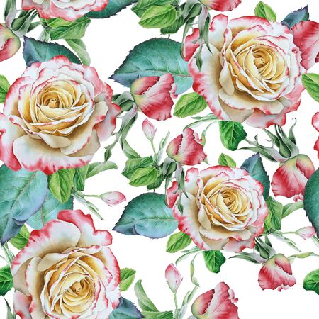 Bright seamless pattern with flowers. Rose. Watercolor illustration. Hand drawn.の写真素材