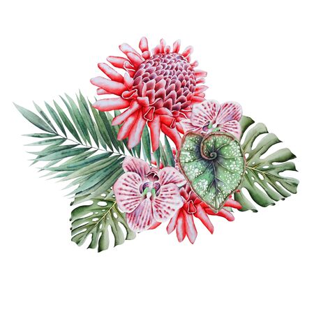 Watercolor tropical bouquet with flowers. Illustration. Hand drawn.の写真素材