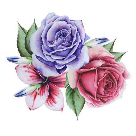 Watercolor bouquet with flowers.  Illustration.  Hand drawn.の写真素材
