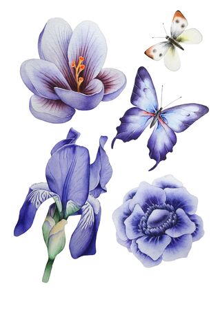 Watercolor set with flowers and butterflies.  Illustration. Hand drawn.の写真素材