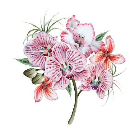 Watercolor bouquet with flowers. Illustration. Hand drawn.の写真素材