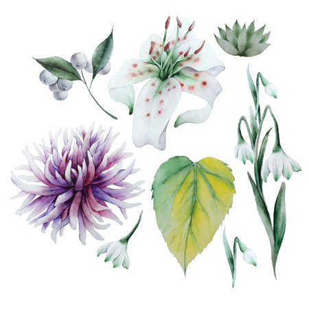 Set with watercolor flowers. Hand drawn.の写真素材