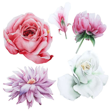 Set with watercolor flowers. Hand drawn.の写真素材