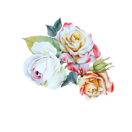Watercolor bouquet with flowers. Rose Illustration. Hand drawn.の写真素材