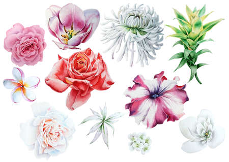 Set with watercolor flowers. Hand drawn.の写真素材