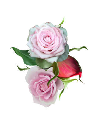Watercolor bouquet with flowers. Illustration. Rose. Digital drawing.の写真素材