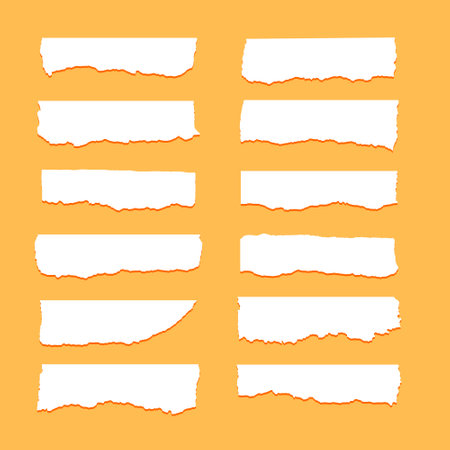 Collection of torn ripper paper sheet textures. Vector set of torn ripped paper sheetsのイラスト素材