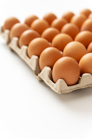 Brown hen eggs in carton box