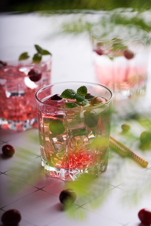 Cranberry cocktail with mint garnish and ice.の写真素材
