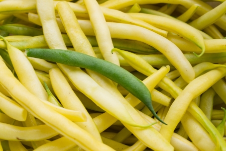 Green pod on yellow hapricot background