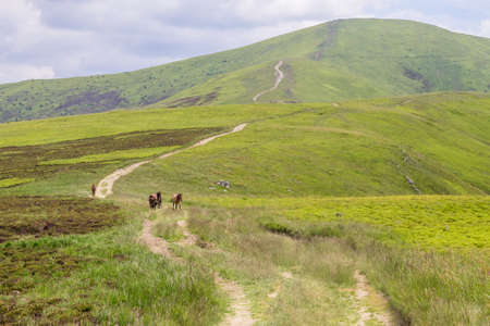 mountains landscape